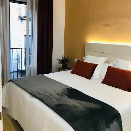 Apg Palau Salieti 2 Girona