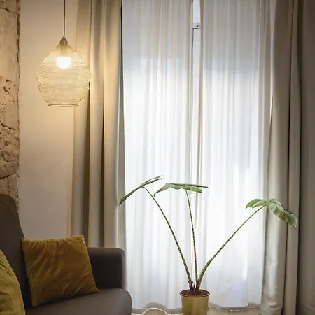 Διαμέρισμα Apg Palau Salieti 2